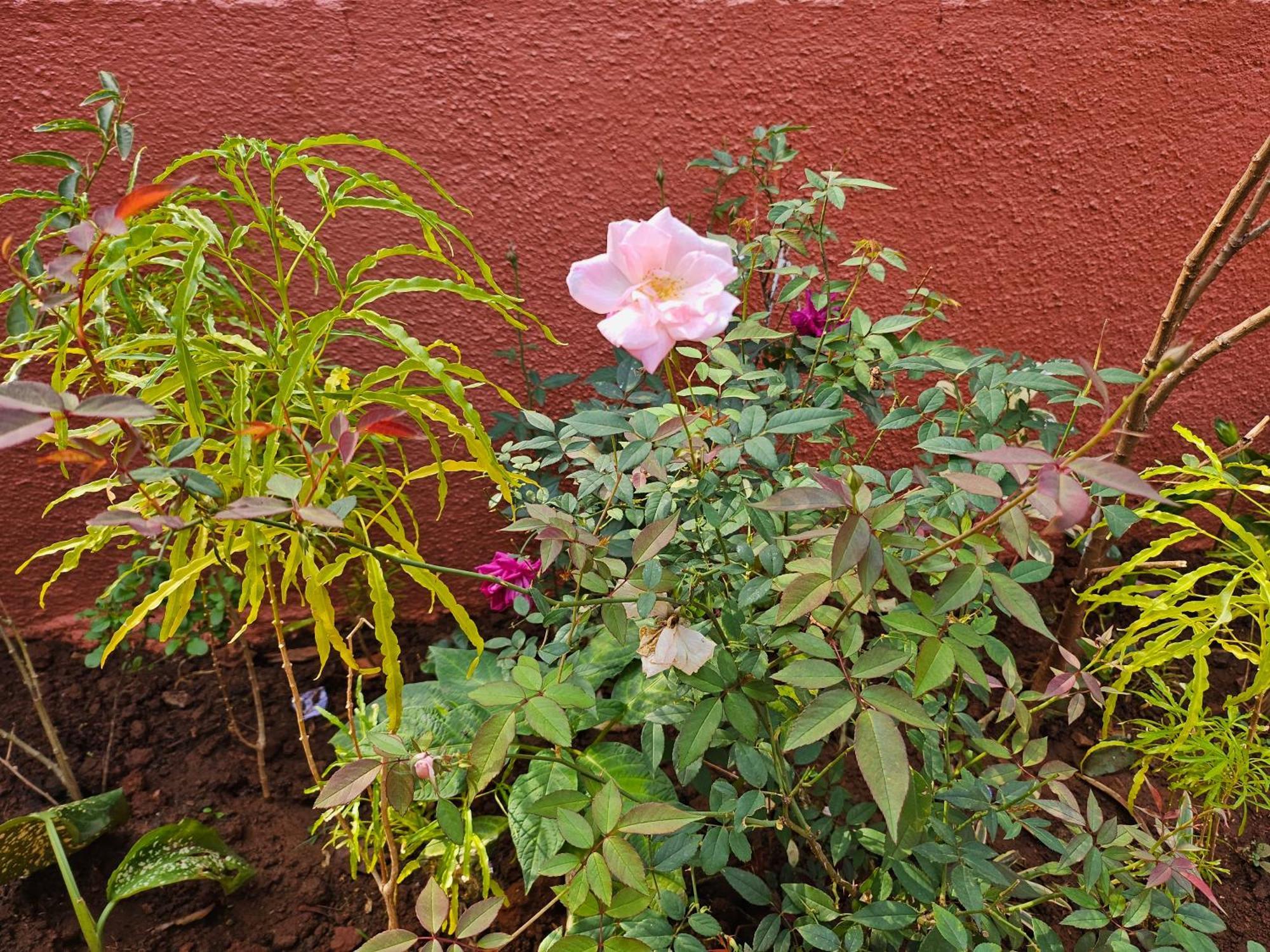 Nivritti Villa Matheran Luaran gambar